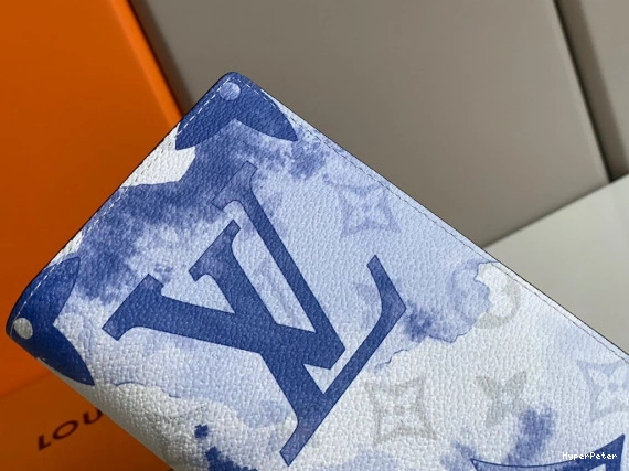 WALLET BRAZZA LOUIS VUITTON 0806